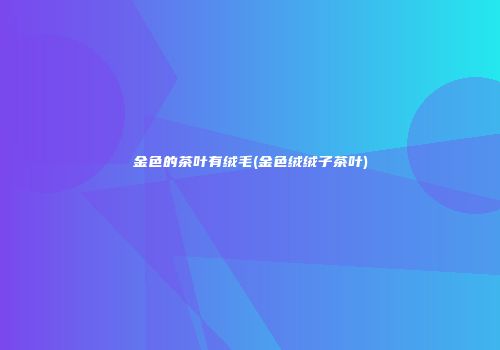 金色的茶叶有绒毛(金色绒绒子茶叶)