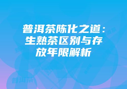 普洱茶陈化之道：生熟茶区别与存放年限解析
