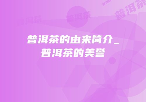 普洱茶的由来简介_普洱茶的美誉