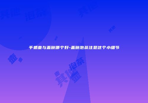 手抓壶与盖碗哪个好-盖碗泡茶注意这个小细节