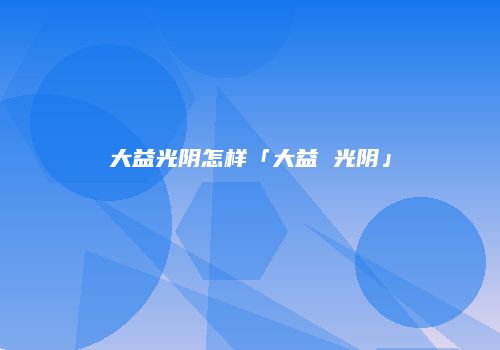 大益光阴怎样「大益 光阴」