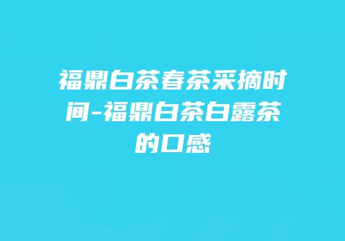 福鼎白茶春茶采摘时间-福鼎白茶白露茶的口感