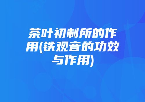 茶叶初制所的作用(铁观音的功效与作用)