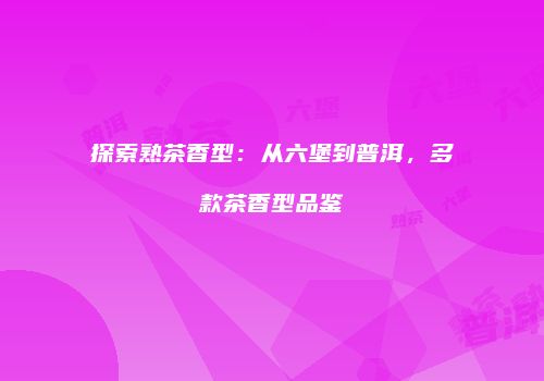 探索熟茶香型：从六堡到普洱，多款茶香型品鉴