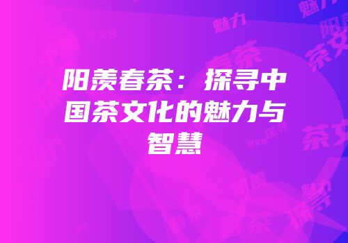 阳羡春茶：探寻中国茶文化的魅力与智慧