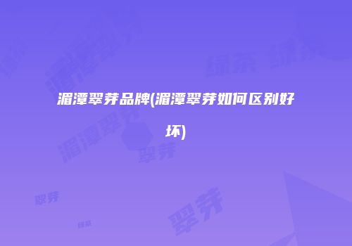 湄潭翠芽品牌(湄潭翠芽如何区别好坏)