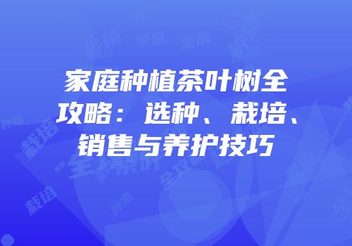 家庭种植茶叶树全攻略：选种、栽培、销售与养护技巧