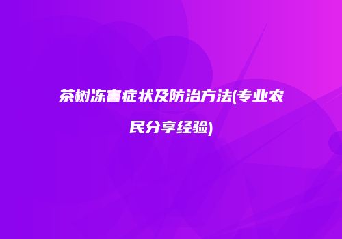茶树冻害症状及防治方法(专业农民分享经验)