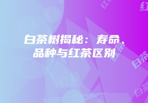 白茶树揭秘：寿命、品种与红茶区别