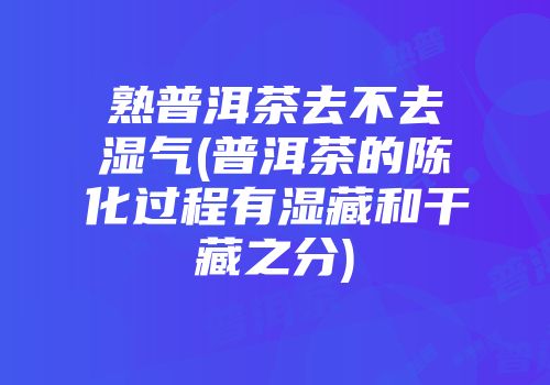 熟普洱茶去不去湿气(普洱茶的陈化过程有湿藏和干藏之分)
