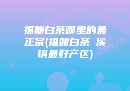 福鼎白茶哪里的最正宗(福鼎白茶磻溪镇最好产区)
