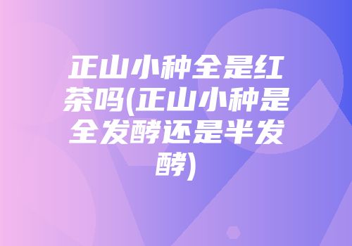 正山小种全是红茶吗(正山小种是全发酵还是半发酵)