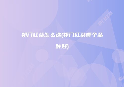 祁门红茶怎么选(祁门红茶哪个品种好)