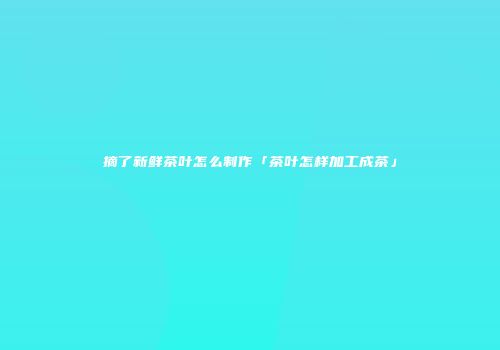 摘了新鲜茶叶怎么制作「茶叶怎样加工成茶」