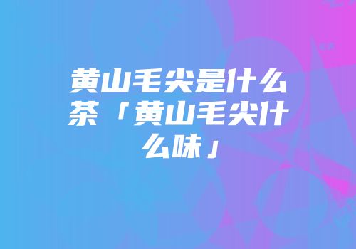 黄山毛尖是什么茶「黄山毛尖什么味」