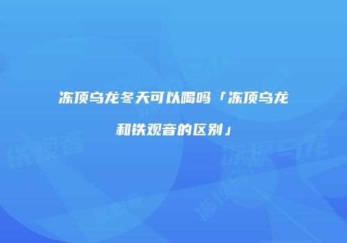 冻顶乌龙冬天可以喝吗「冻顶乌龙和铁观音的区别」