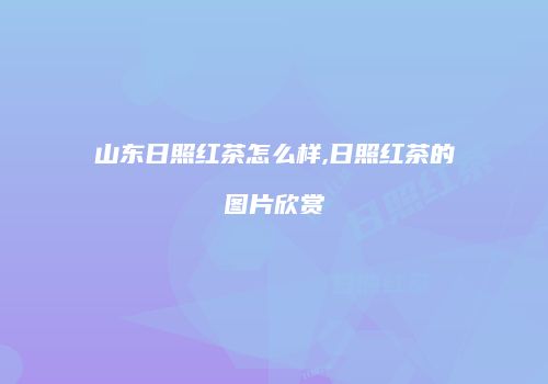 山东日照红茶怎么样,日照红茶的图片欣赏