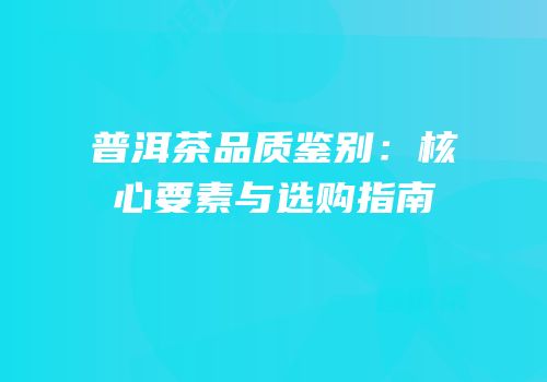 普洱茶品质鉴别：核心要素与选购指南