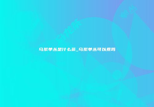 乌岽单丛是什么茶_乌岽单丛可以煮吗