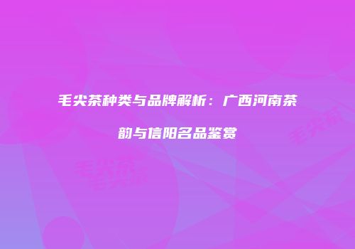 毛尖茶种类与品牌解析：广西河南茶韵与信阳名品鉴赏
