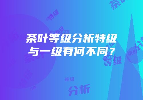茶叶等级分析特级与一级有何不同？
