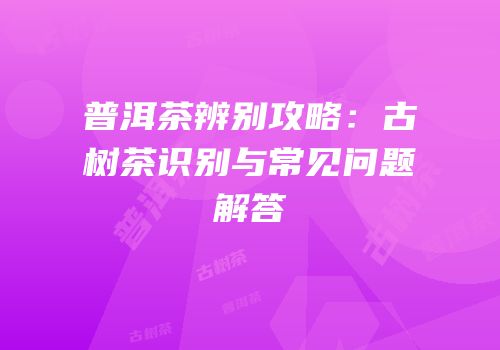 普洱茶辨别攻略：古树茶识别与常见问题解答