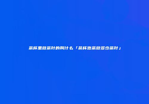 茶杯里放茶叶的叫什么「茶杯泡茶放多少茶叶」