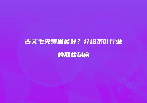 古丈毛尖哪里最好？介绍茶叶行业的那些秘密