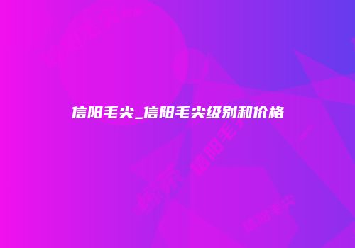 信阳毛尖_信阳毛尖级别和价格