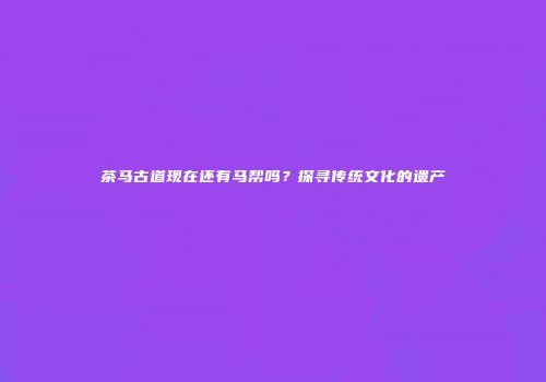茶马古道现在还有马帮吗？探寻传统文化的遗产
