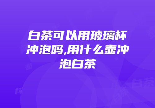 白茶可以用玻璃杯冲泡吗,用什么壶冲泡白茶