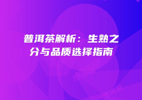 普洱茶解析：生熟之分与品质选择指南
