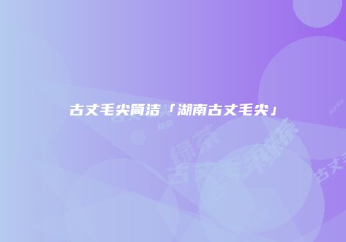 古丈毛尖简洁「湖南古丈毛尖」