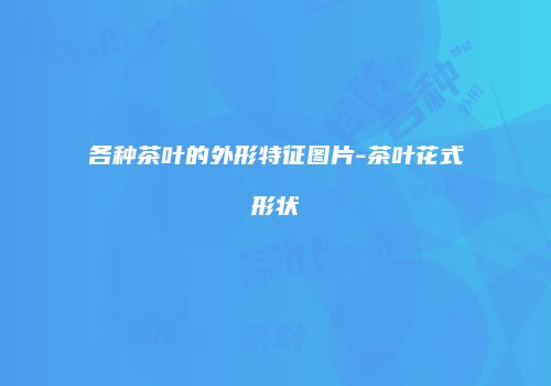 各种茶叶的外形特征图片-茶叶花式形状