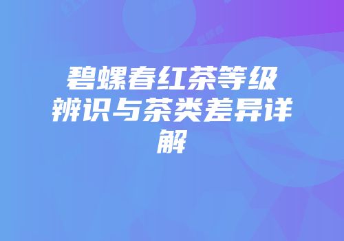 碧螺春红茶等级辨识与茶类差异详解