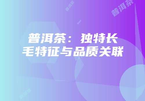 普洱茶：独特长毛特征与品质关联