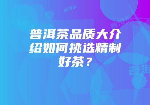 普洱茶品质大介绍如何挑选精制好茶？