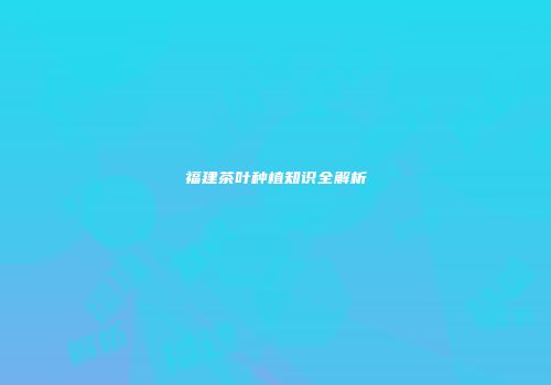 福建茶叶种植知识全解析