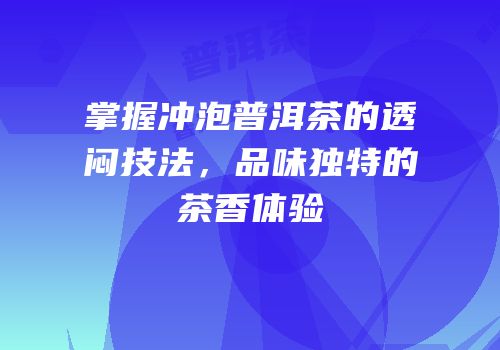 掌握冲泡普洱茶的透闷技法，品味独特的茶香体验