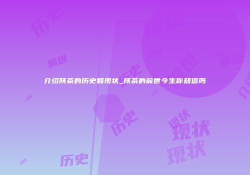 介绍陕茶的历史和现状_陕茶的前世今生你知道吗