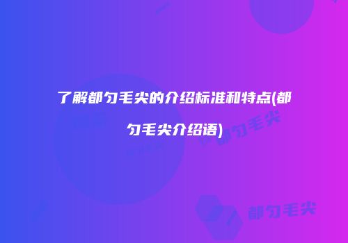 了解都匀毛尖的介绍标准和特点(都匀毛尖介绍语)