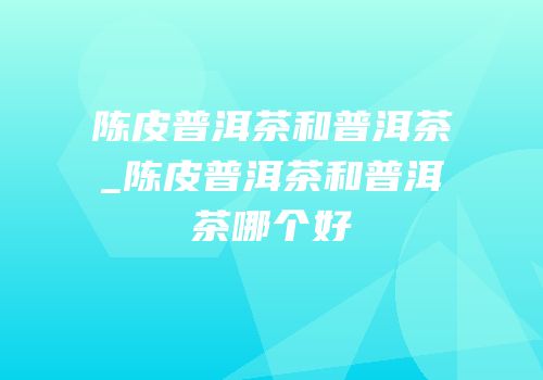 陈皮普洱茶和普洱茶_陈皮普洱茶和普洱茶哪个好