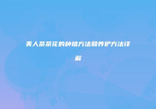 美人茶茶花的种植方法和养护方法详解