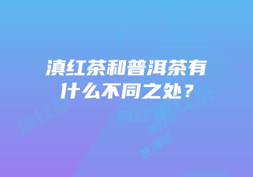 滇红茶和普洱茶有什么不同之处？