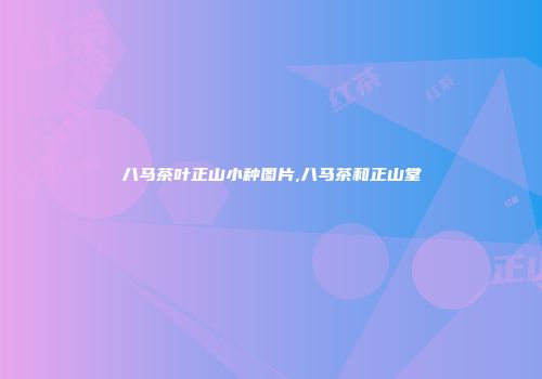八马茶叶正山小种图片,八马茶和正山堂