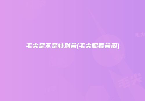 毛尖是不是特别苦(毛尖喝着苦涩)