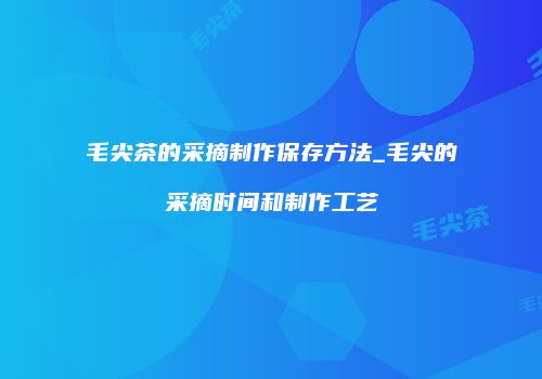 毛尖茶的采摘制作保存方法_毛尖的采摘时间和制作工艺