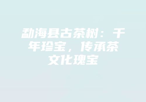 勐海县古茶树：千年珍宝，传承茶文化瑰宝