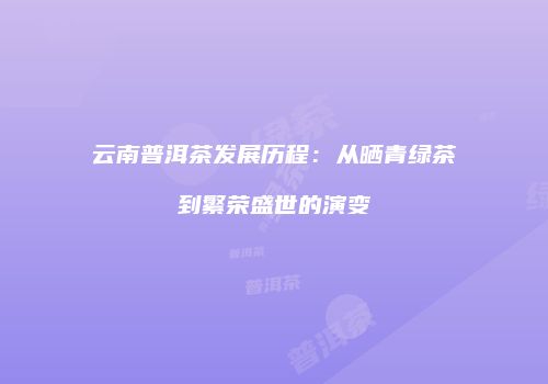 云南普洱茶发展历程：从晒青绿茶到繁荣盛世的演变