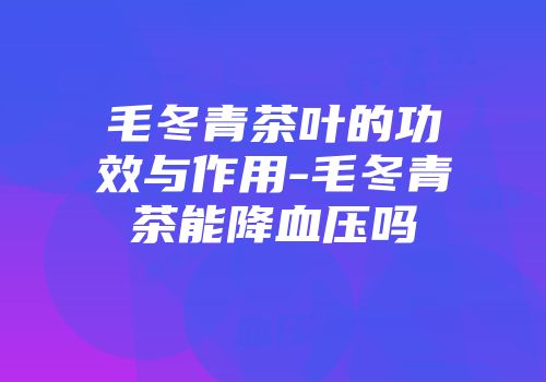 毛冬青茶叶的功效与作用-毛冬青茶能降血压吗